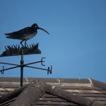 Curlew Cottage and the Curlew Bird