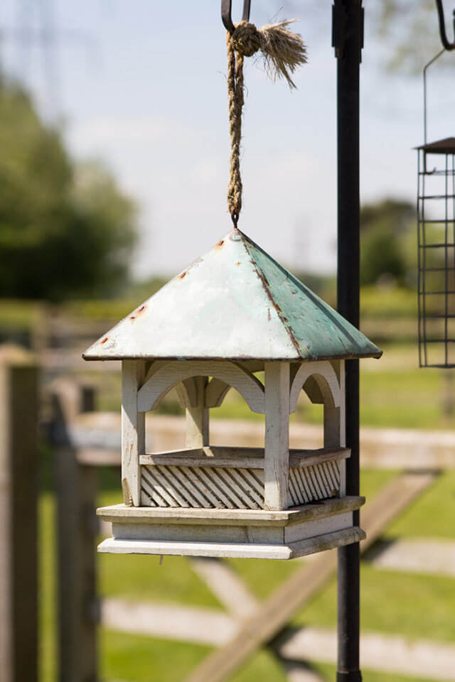 Bird-feeder-at-curlew